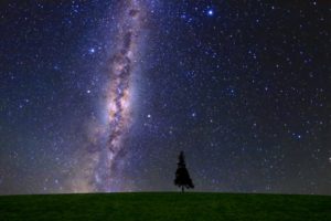 綺麗な星空と草原。宇宙と地球って感じがして好きです。